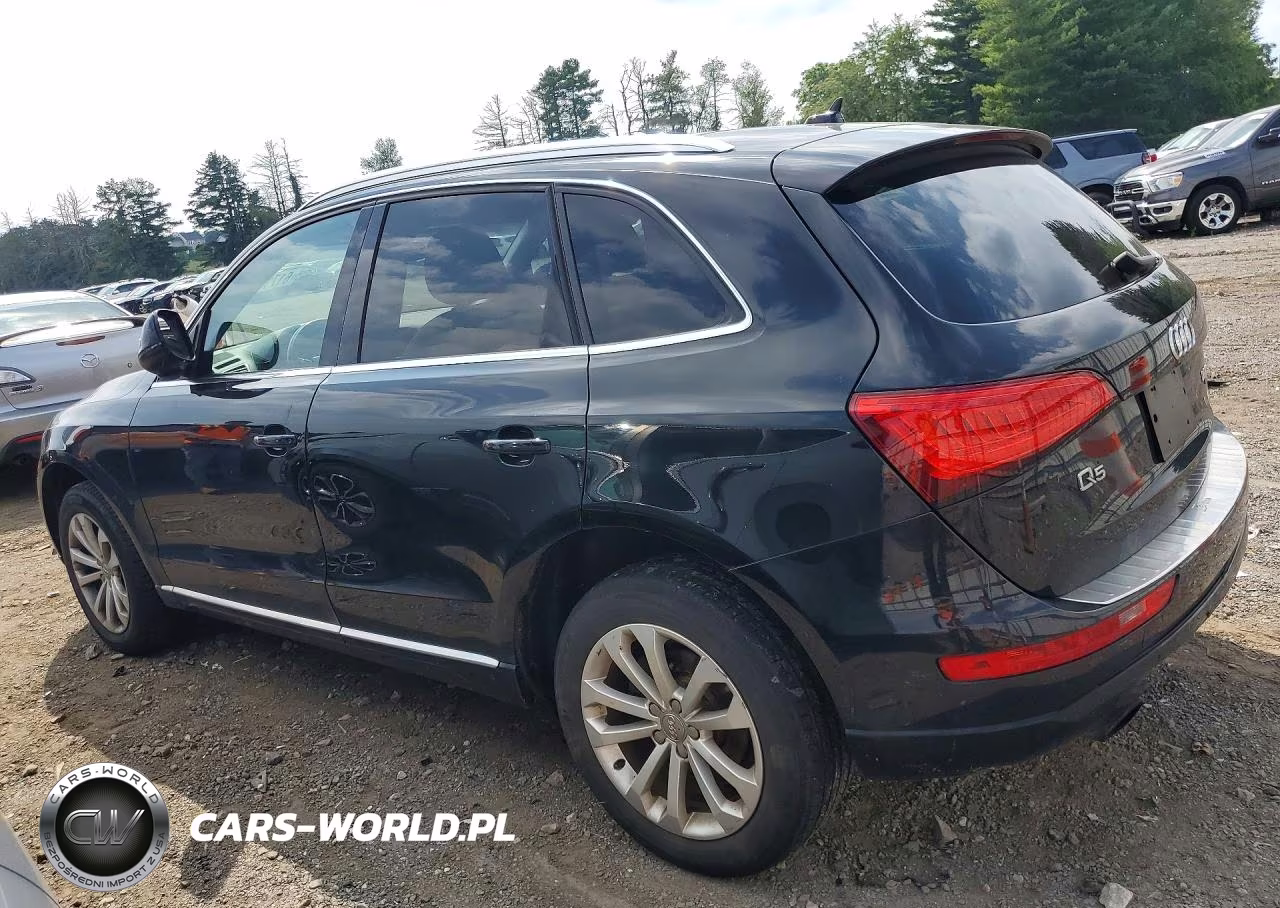 2013 Audi Q5 Premium Plus VIN:WA1LFAFPXDA034124 - 2