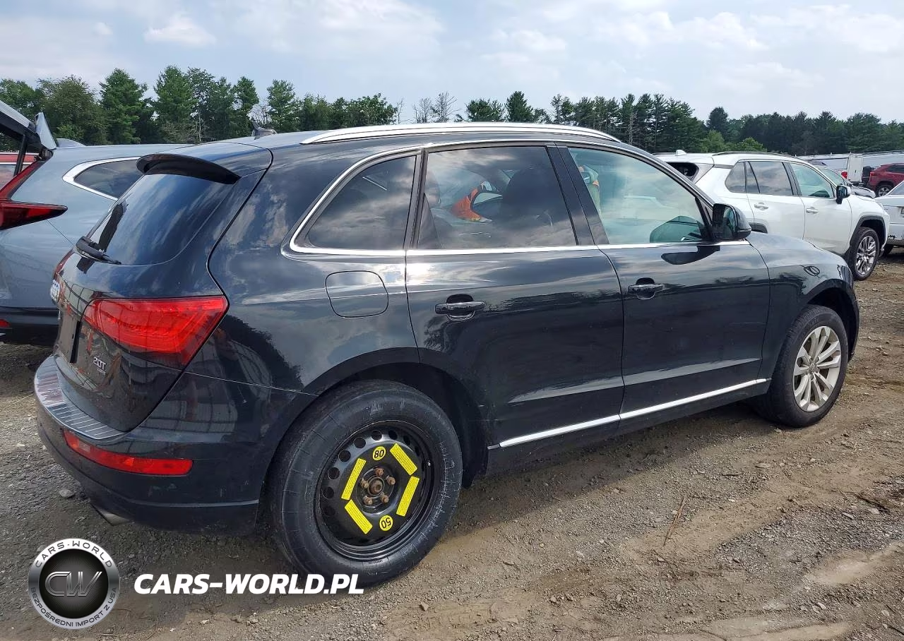 2013 Audi Q5 Premium Plus VIN:WA1LFAFPXDA034124 - 3