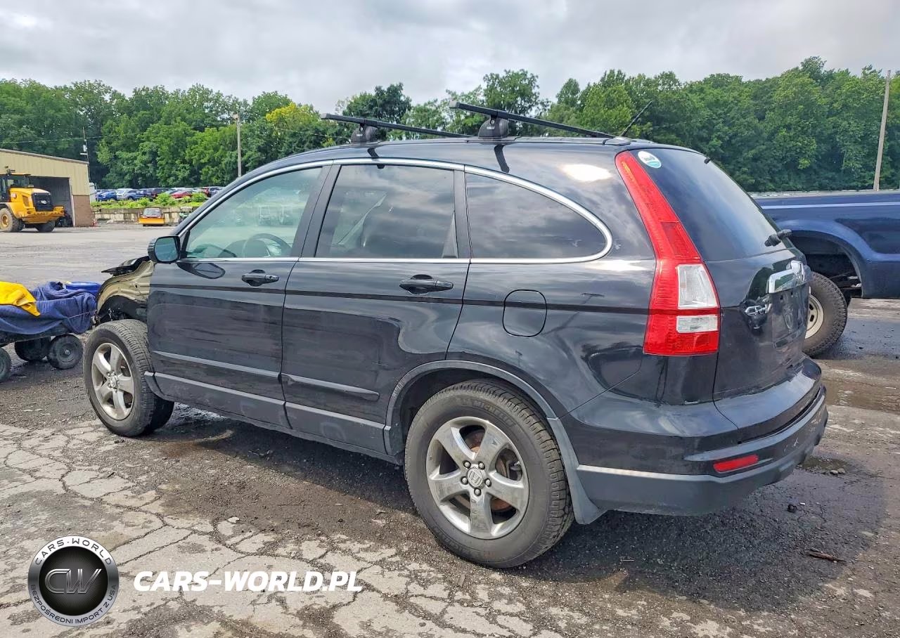 2010 Honda Cr-V Exl VIN:5J6RE4H72AL077299 - 2