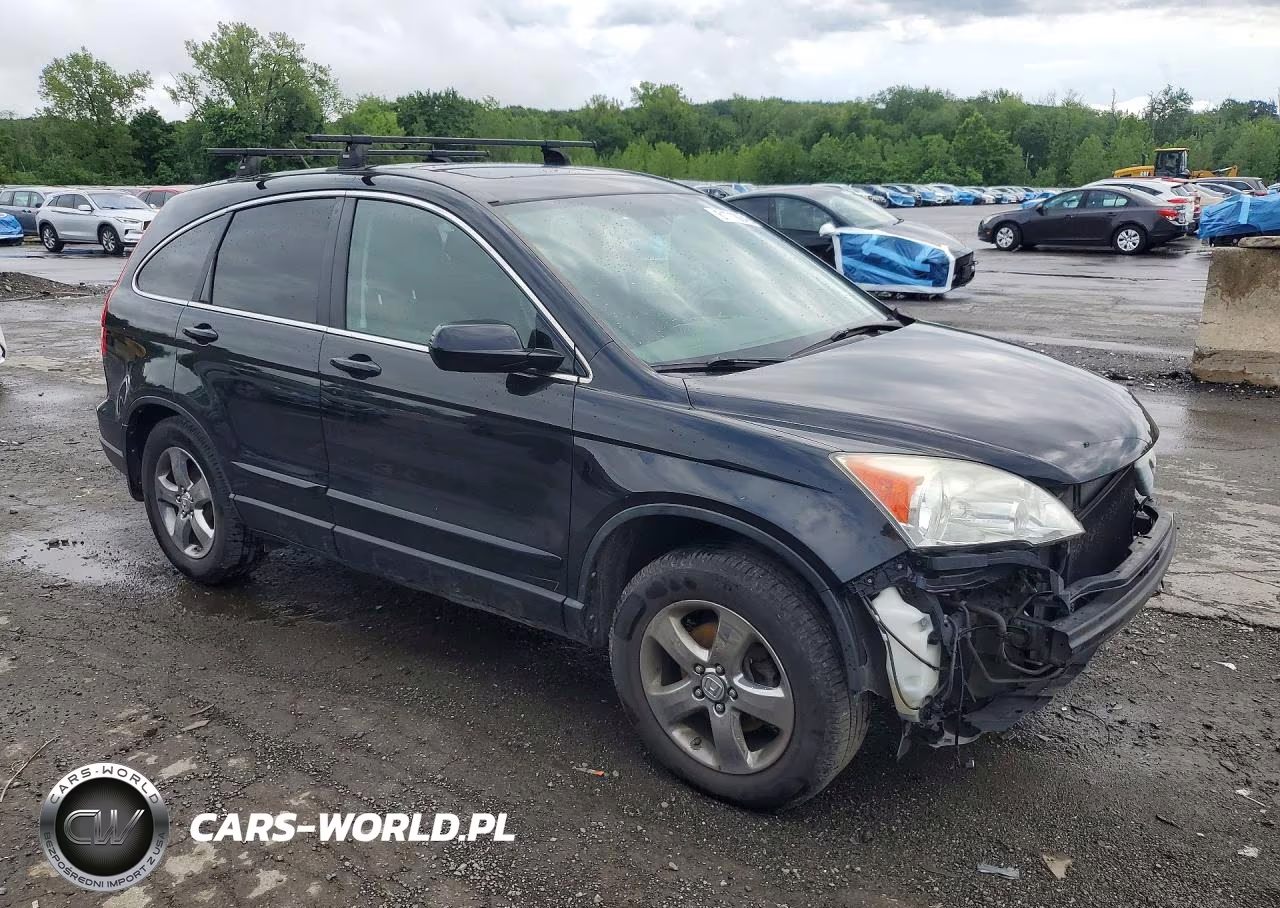 2010 Honda Cr-V Exl VIN:5J6RE4H72AL077299 - 4