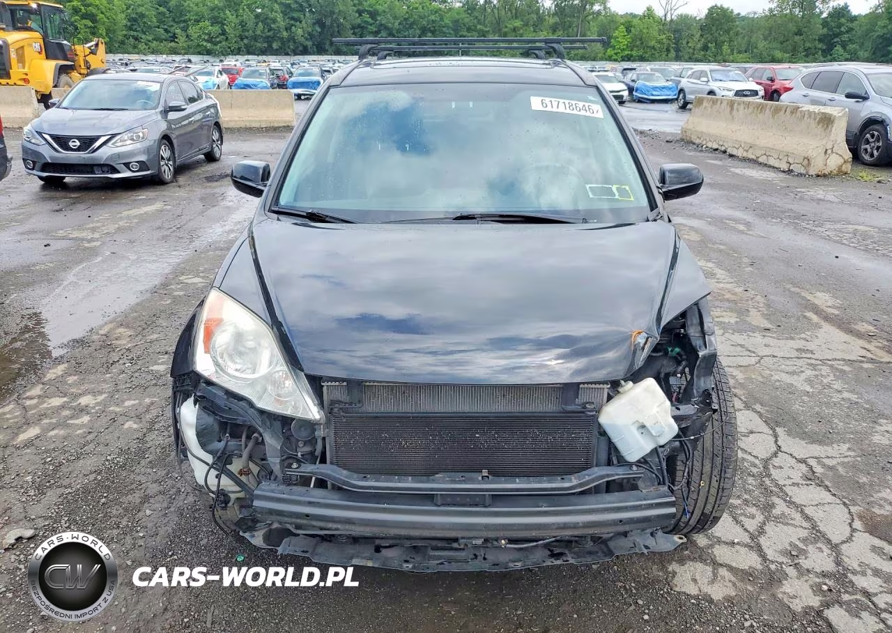 2010 Honda Cr-V Exl VIN:5J6RE4H72AL077299 - 5
