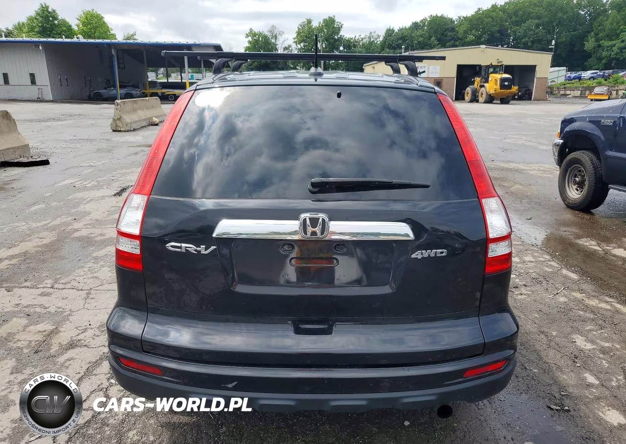 2010 Honda Cr-V Exl VIN:5J6RE4H72AL077299 - 6