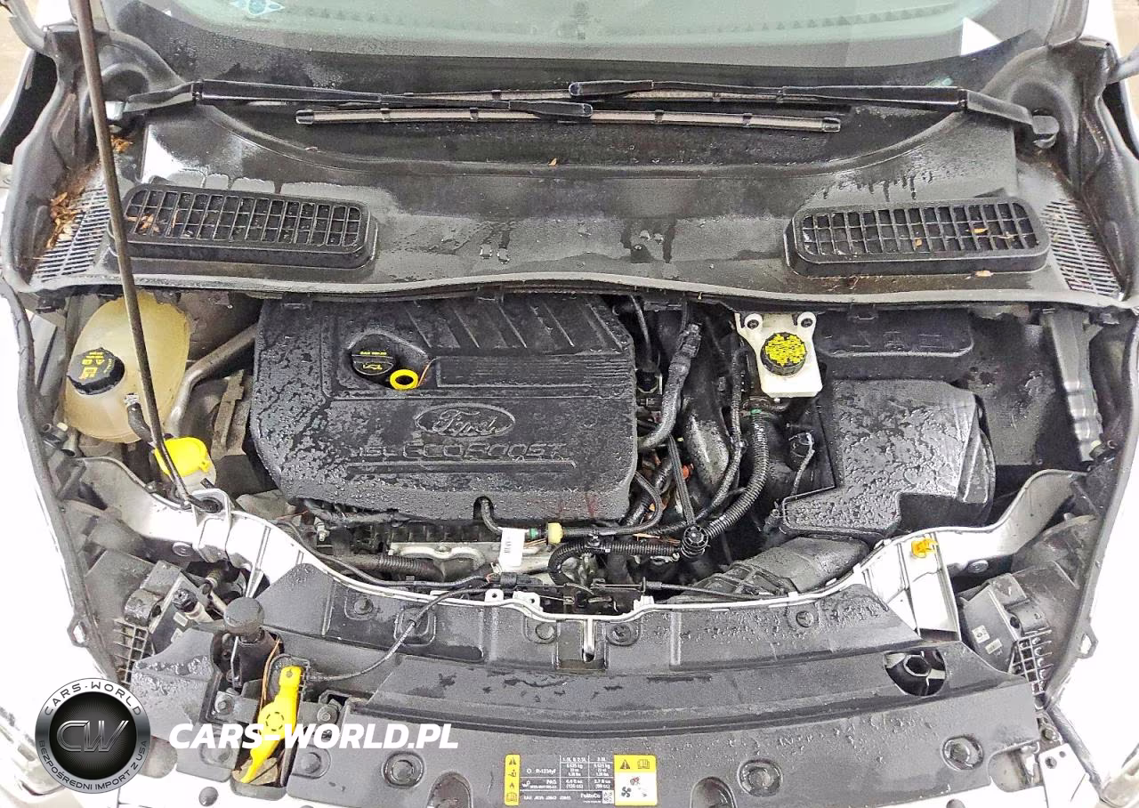 2019 Ford Escape Sel VIN:1FMCU9HD5KUA62241 - 12