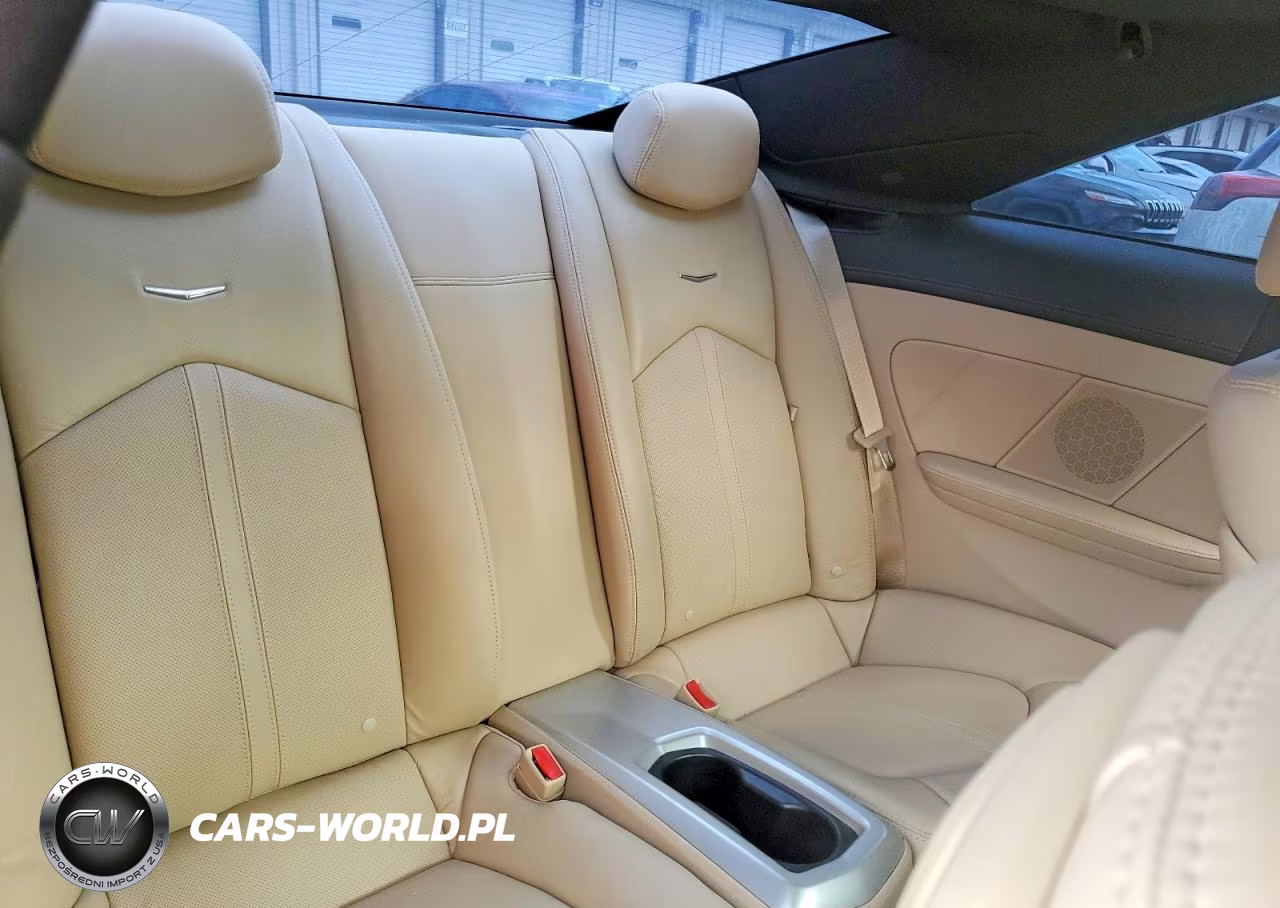 2014 Cadillac Cts Premium Collection VIN:1G6DD1E31E0131902 - 10