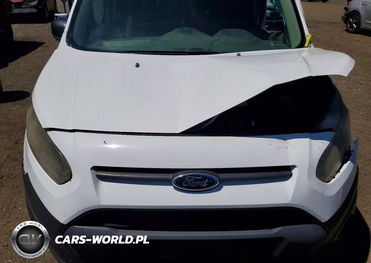 2014 Ford Transit Connect Xl VIN:NM0LE6E79E1167057 - 12