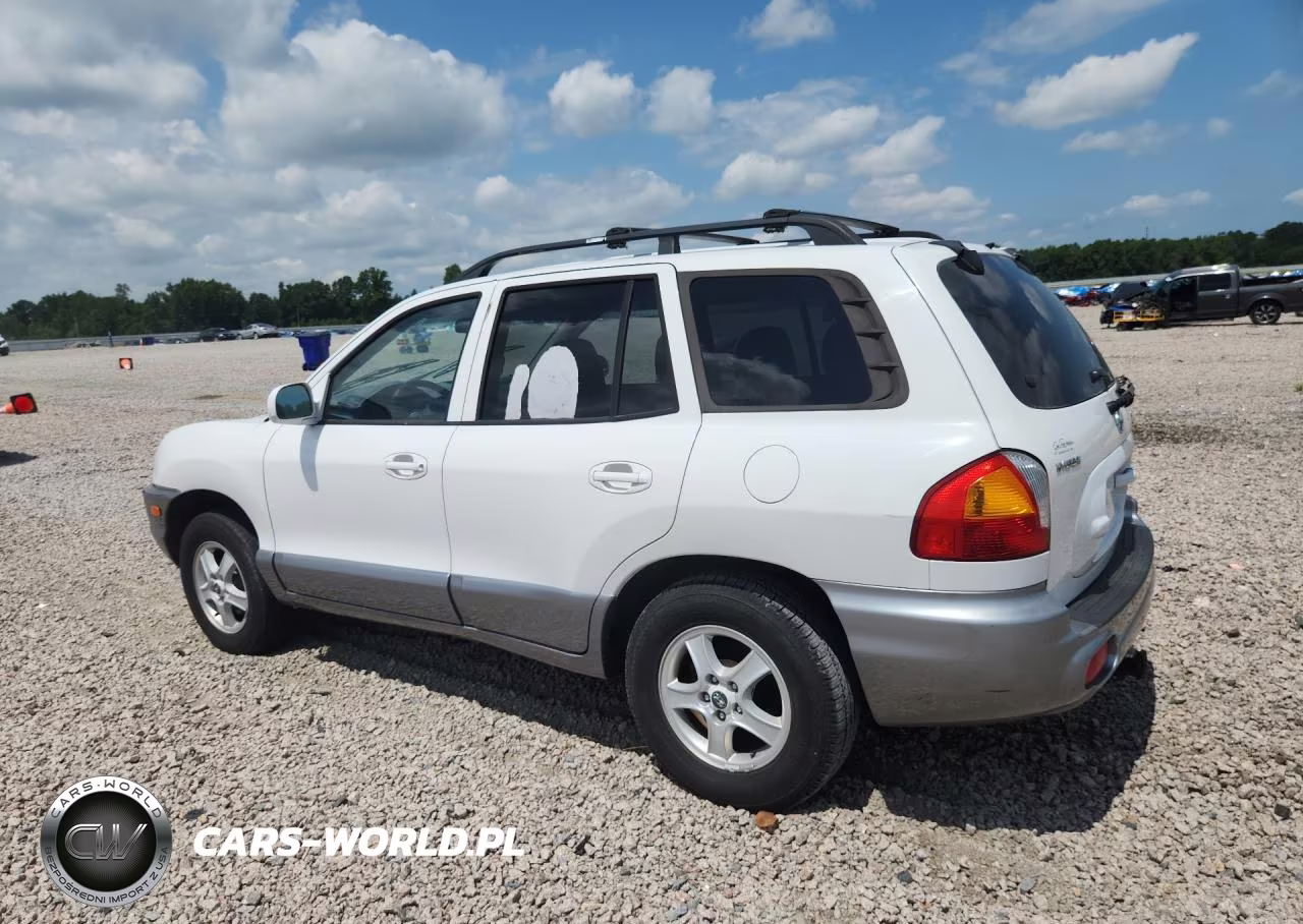 2004 Hyundai Santa Fe Gls VIN:KM8SC13D74U699528 - 2