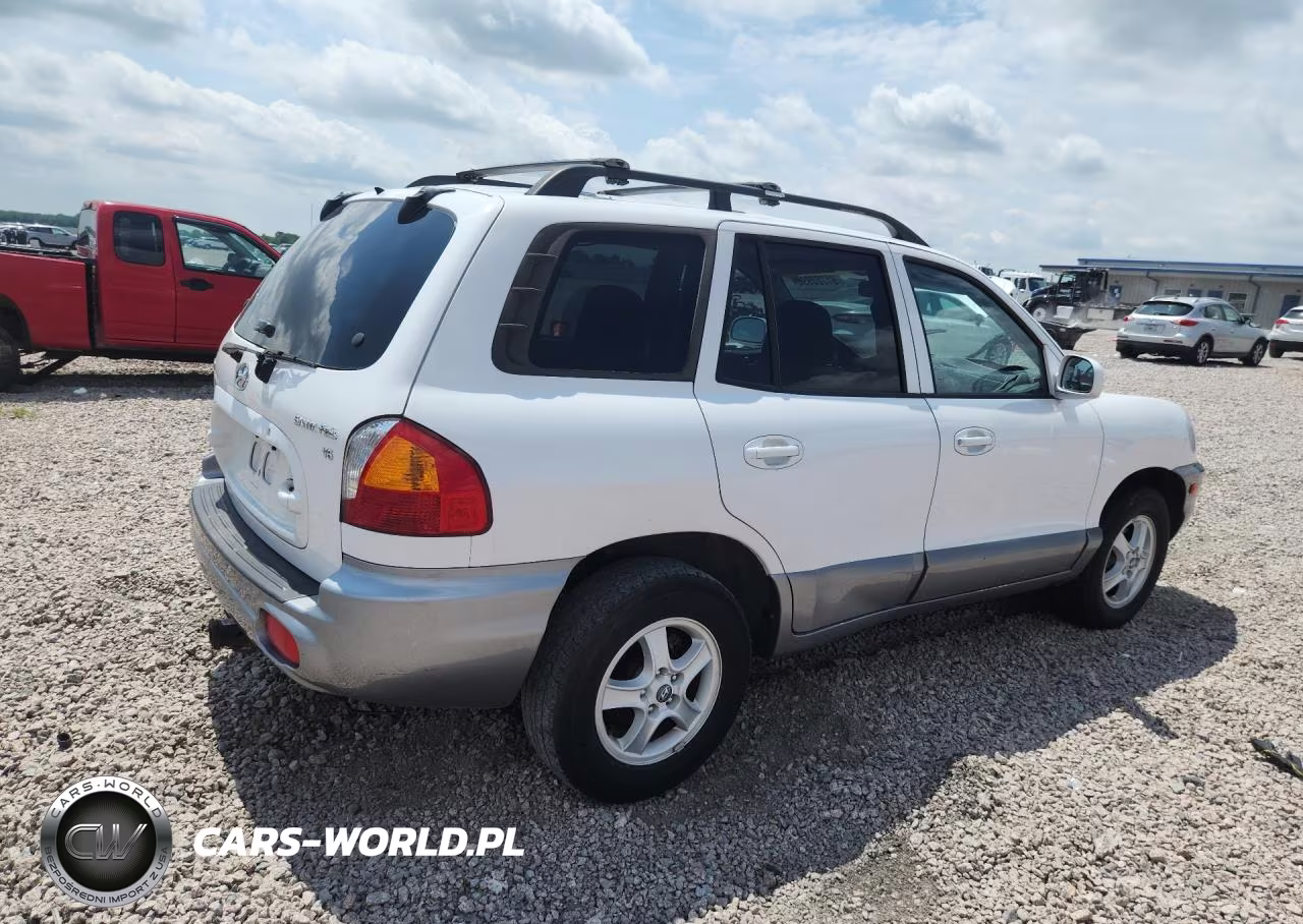 2004 Hyundai Santa Fe Gls VIN:KM8SC13D74U699528 - 3