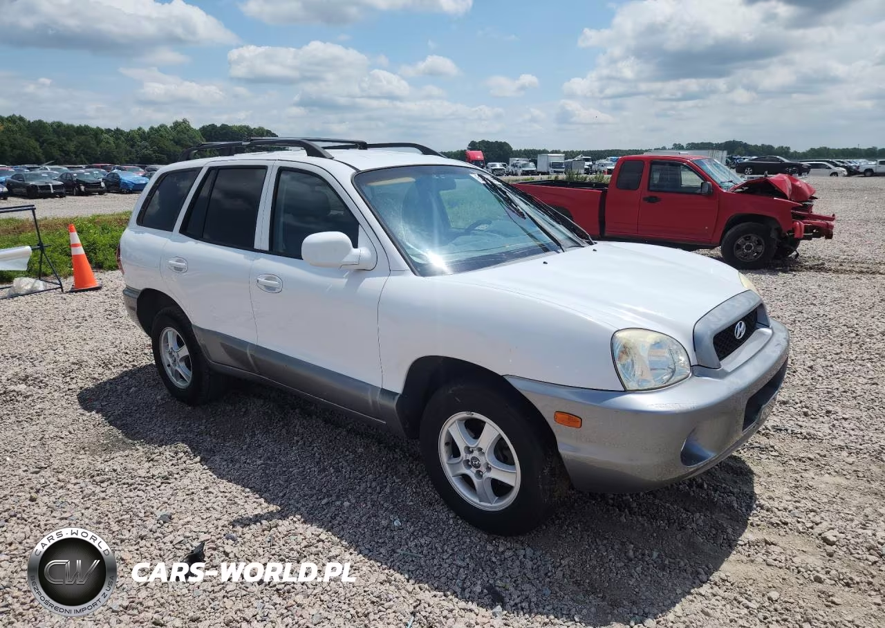 2004 Hyundai Santa Fe Gls VIN:KM8SC13D74U699528 - 4