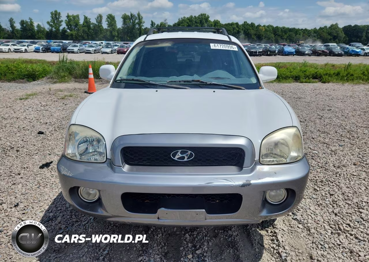 2004 Hyundai Santa Fe Gls VIN:KM8SC13D74U699528 - 5
