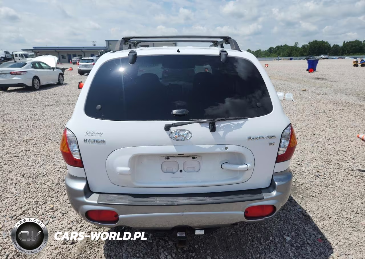 2004 Hyundai Santa Fe Gls VIN:KM8SC13D74U699528 - 6