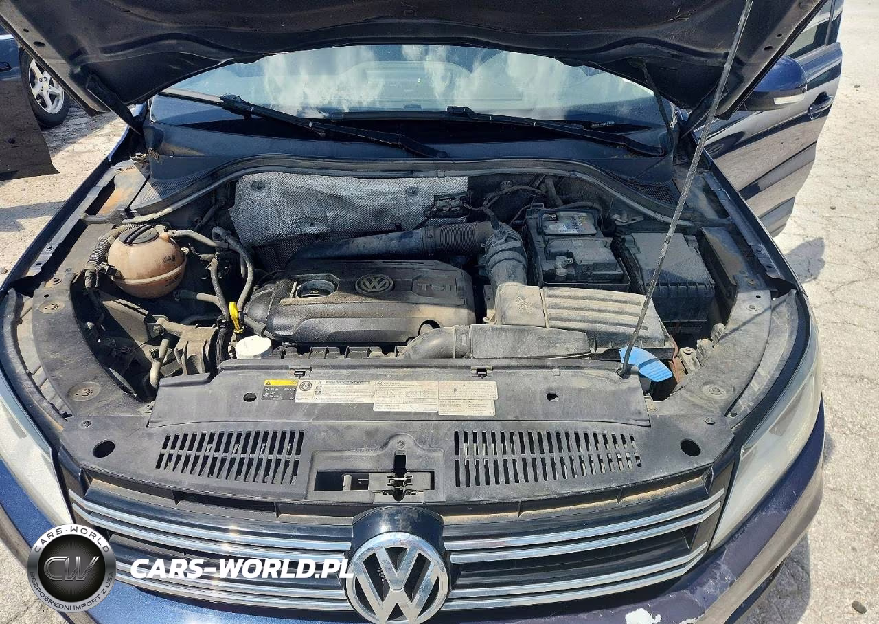 2016 Volkswagen Tiguan S VIN:WVGBV7AX2GW576299 - 12
