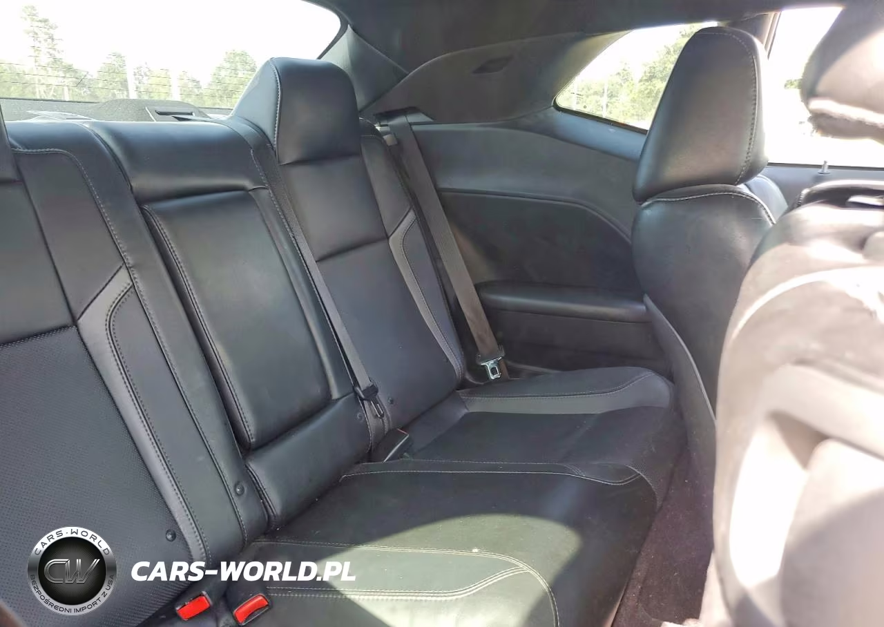 2018 Dodge Challenger Sxt VIN:2C3CDZAG3JH322215 - 10