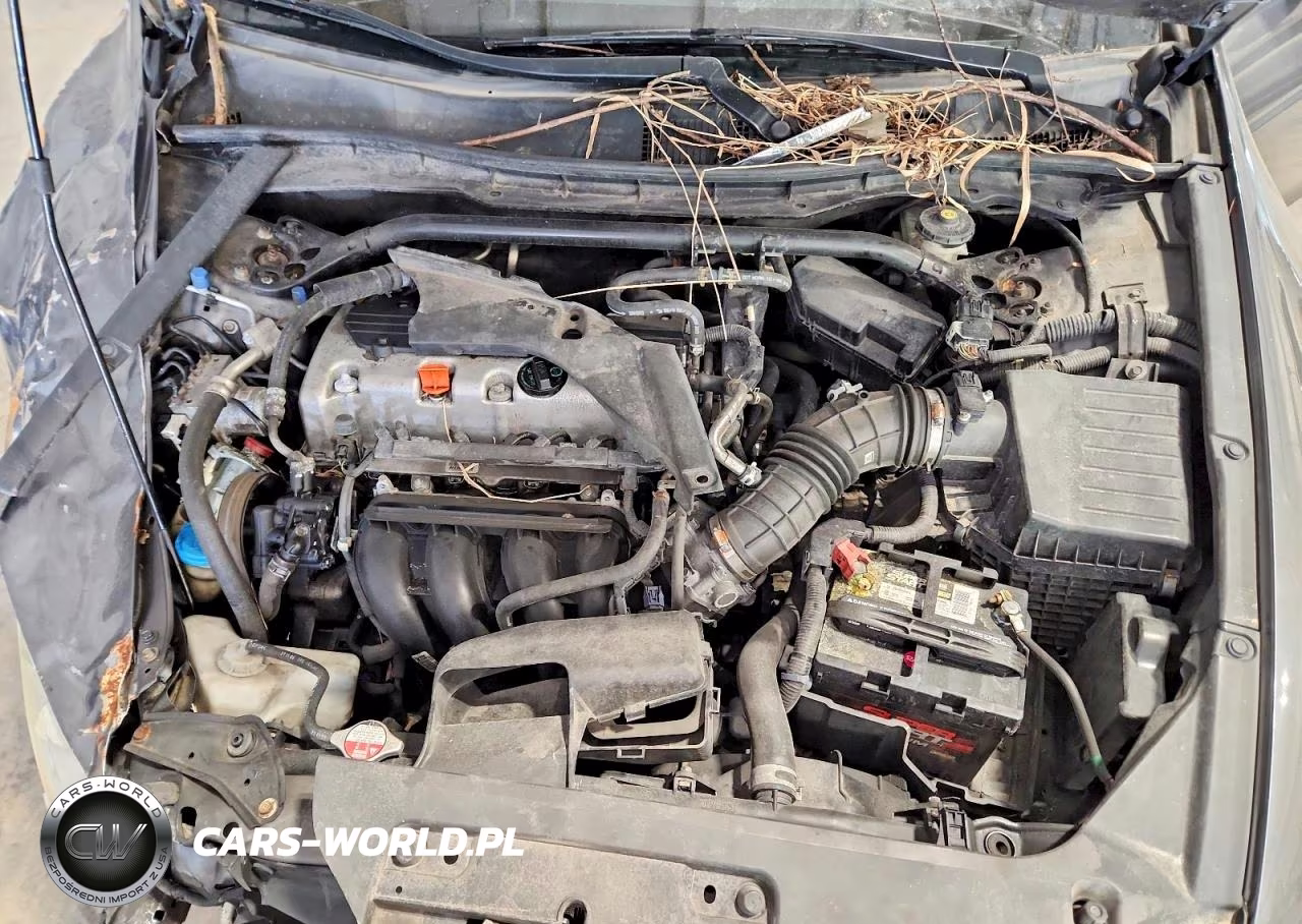 2010 Honda Accord Lx VIN:1HGCS1B36AA012025 - 11