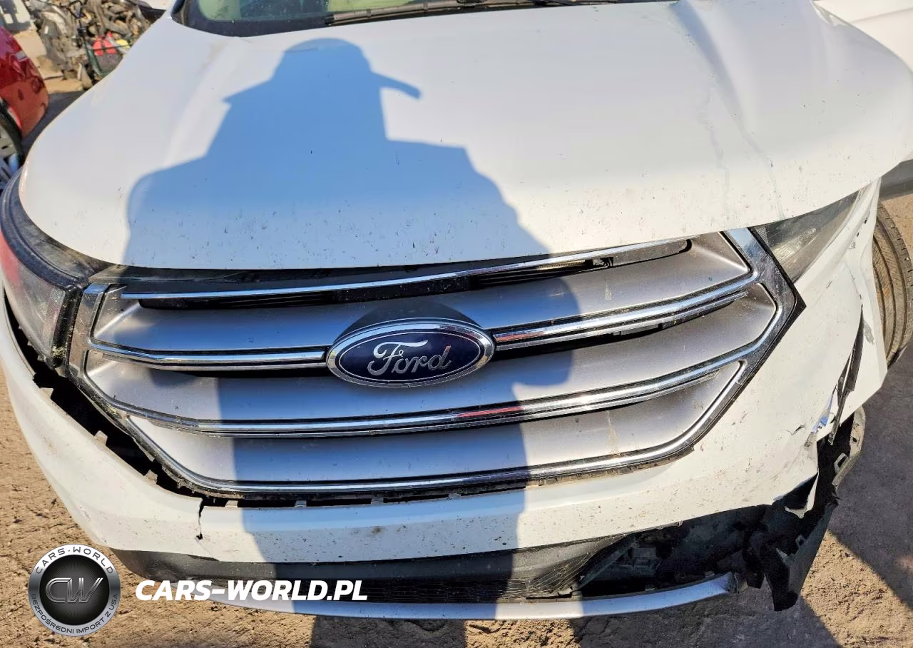 2018 Ford Edge Sel VIN:2FMPK3J98JBB39991 - 12