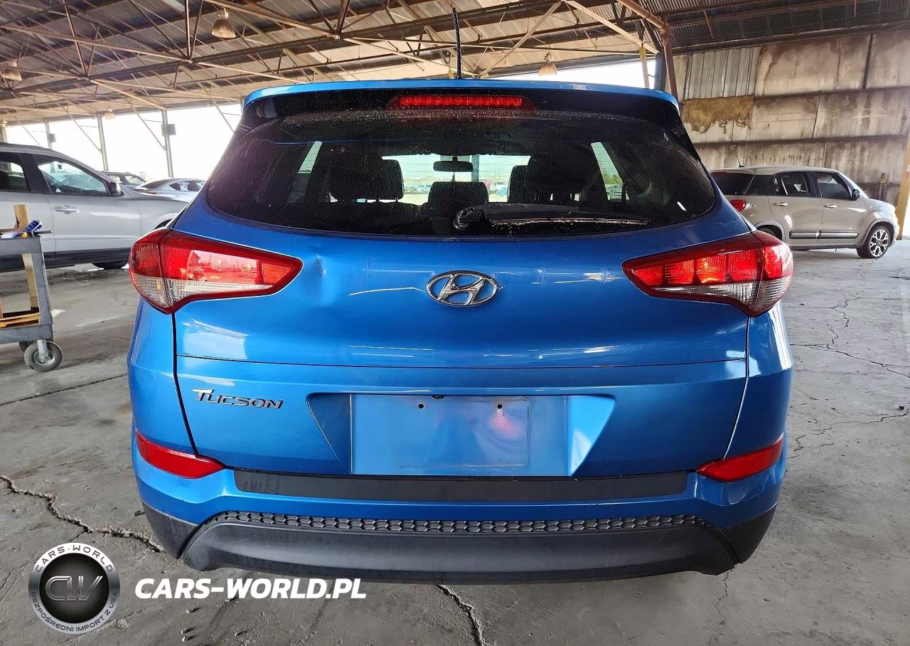 2016 Hyundai Tucson Se VIN:KM8J23A44GU028206 - 6