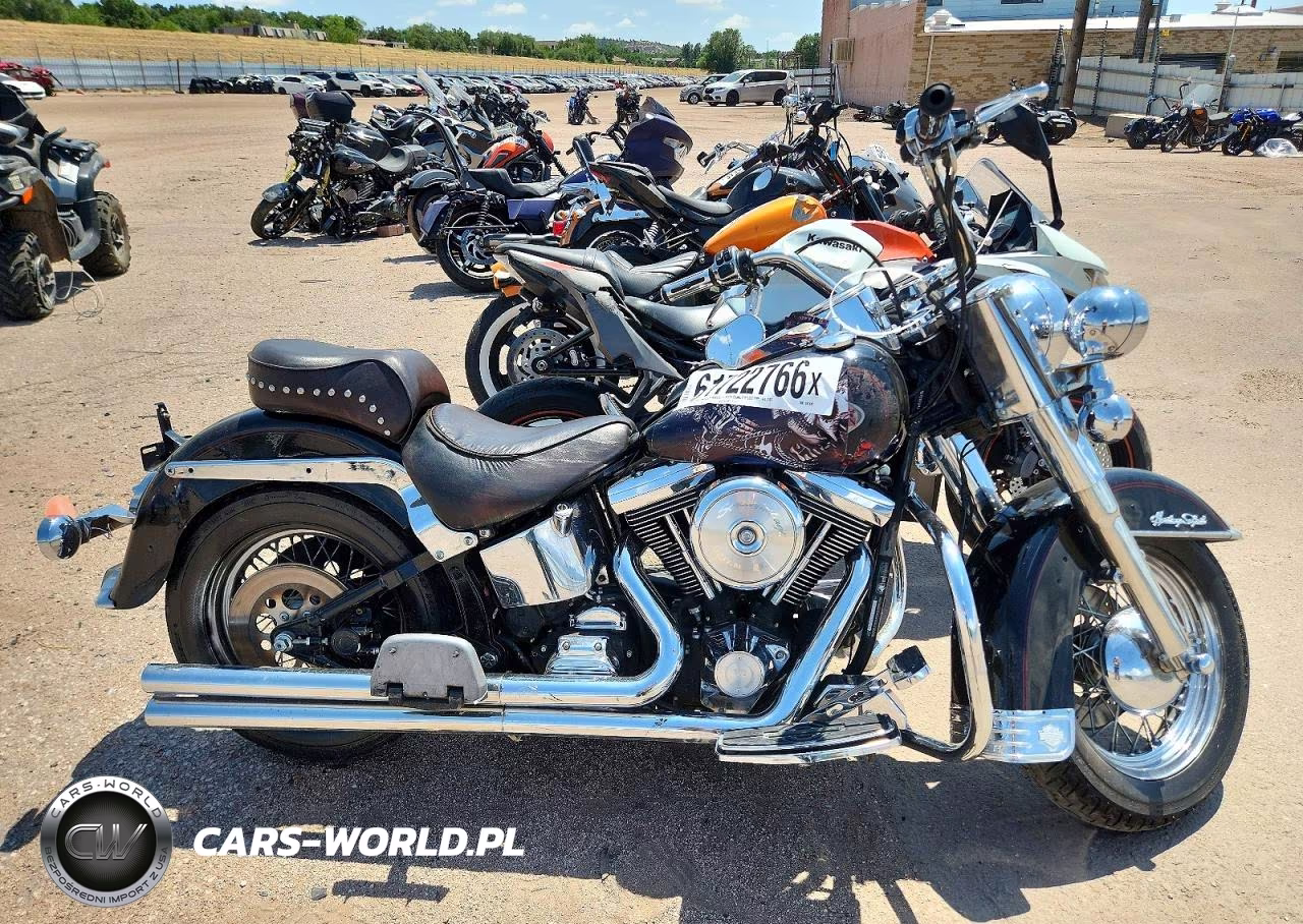 1999 Harley-Davidson Flstc