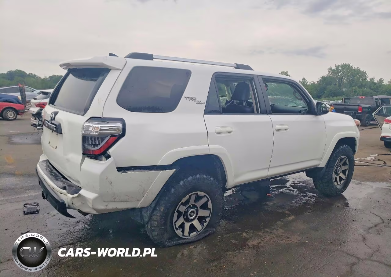 2018 Toyota 4Runner Trd Off-Road Premium VIN:JTEBU5JR6J5497255 - 3