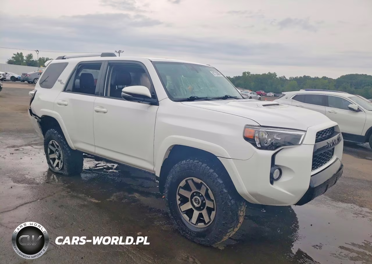 2018 Toyota 4Runner Trd Off-Road Premium VIN:JTEBU5JR6J5497255 - 4