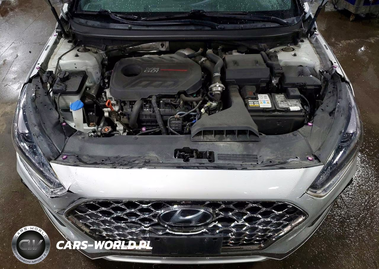 2019 Hyundai Sonata Limited Turbo VIN:5NPE34ABXKH806860 - 11