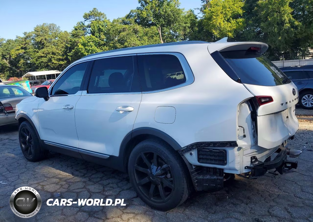 2020 Kia Telluride Ex VIN:5XYP34HC9LG052236 - 2