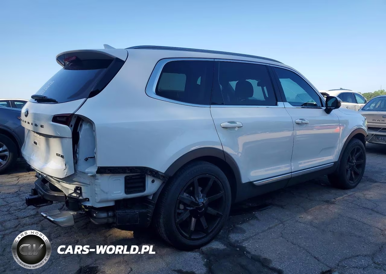 2020 Kia Telluride Ex VIN:5XYP34HC9LG052236 - 3