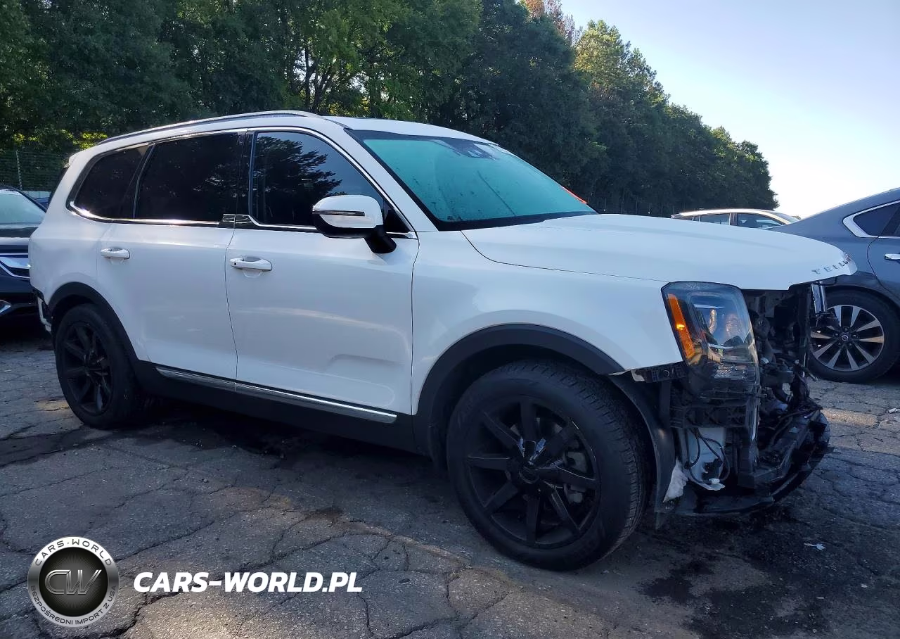 2020 Kia Telluride Ex VIN:5XYP34HC9LG052236 - 4