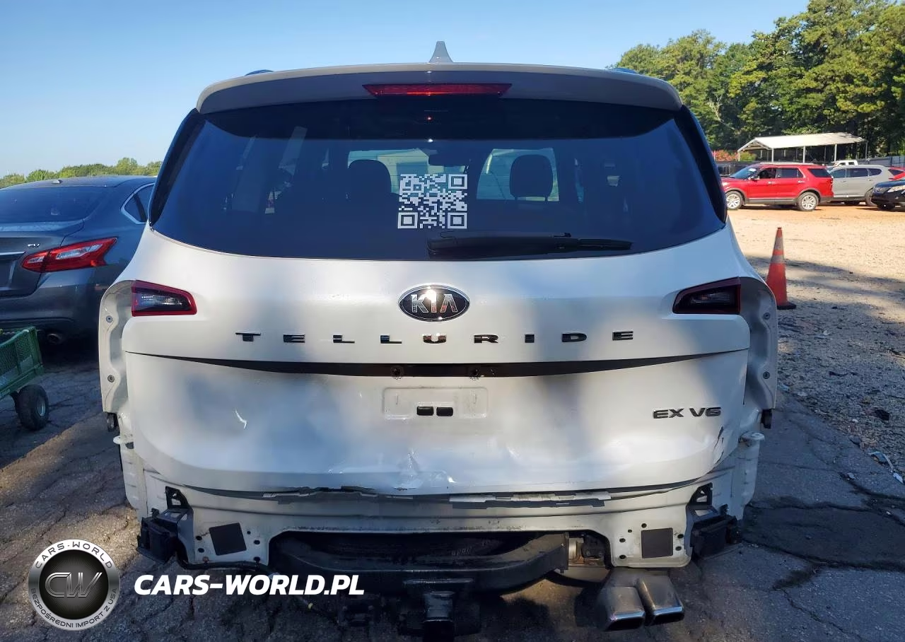 2020 Kia Telluride Ex VIN:5XYP34HC9LG052236 - 6