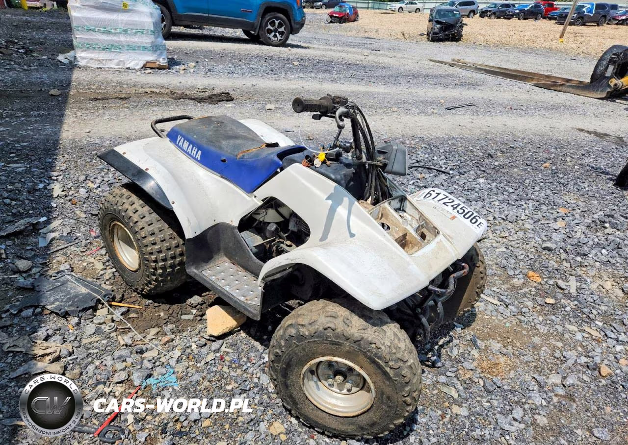 2000 Yamaha Breeze 125 Atv – zdjęcie 1 z 10