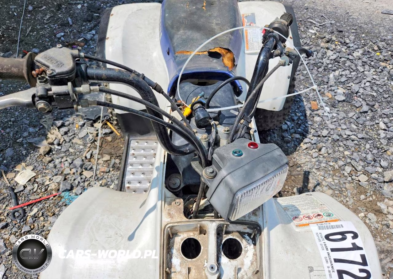 2000 Yamaha Breeze 125 Atv VIN:JY43FAW08YA123767 - 10