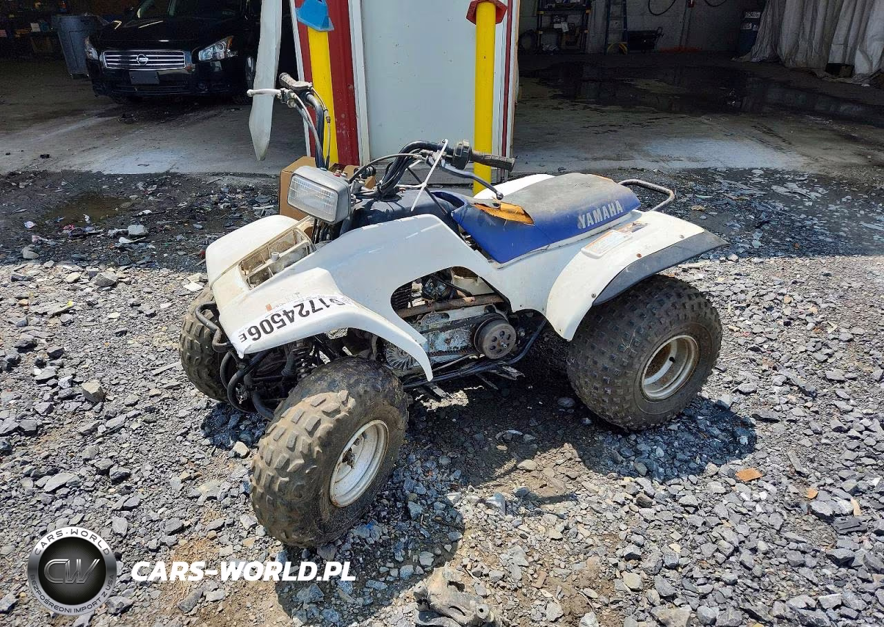 2000 Yamaha Breeze 125 Atv VIN:JY43FAW08YA123767 - 2