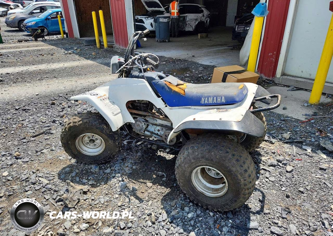 2000 Yamaha Breeze 125 Atv VIN:JY43FAW08YA123767 - 3