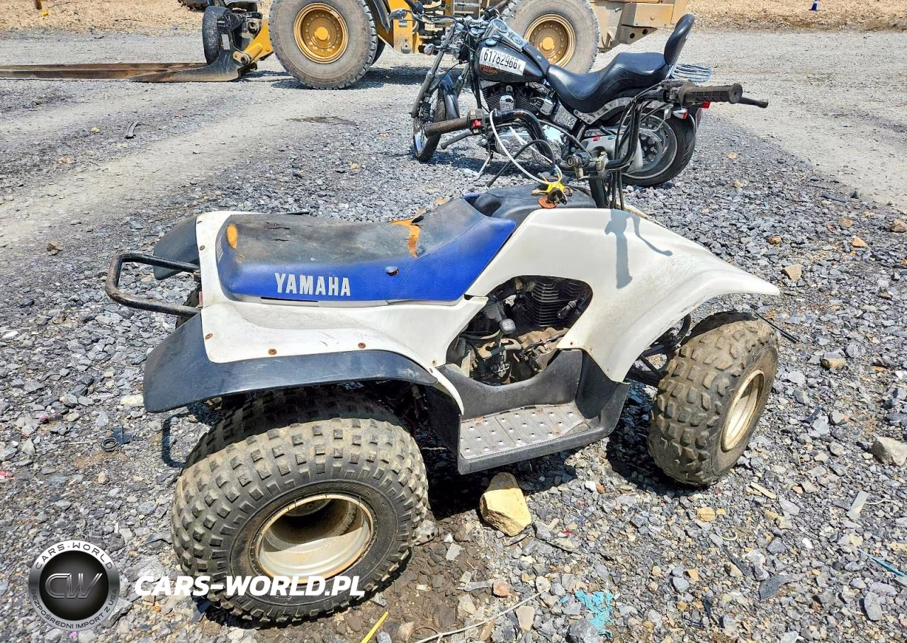 2000 Yamaha Breeze 125 Atv VIN:JY43FAW08YA123767 - 4