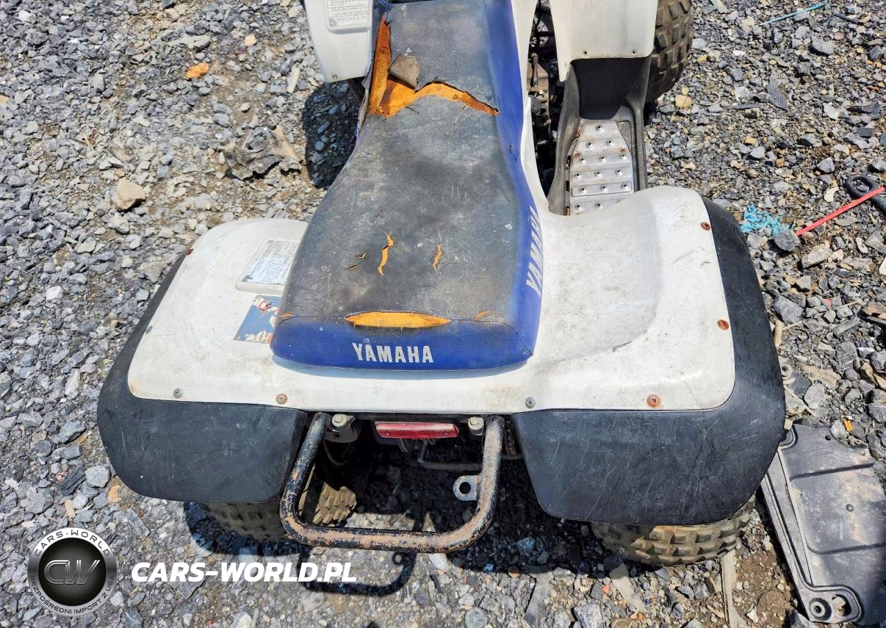 2000 Yamaha Breeze 125 Atv VIN:JY43FAW08YA123767 - 6