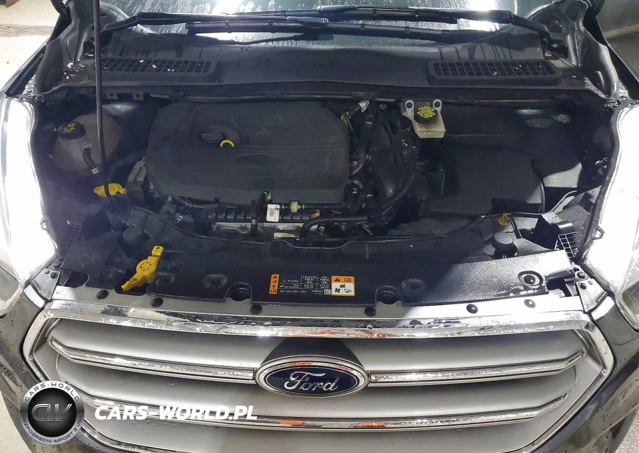 2017 Ford Escape Se VIN:1FMCU0GD9HUF01219 - 12