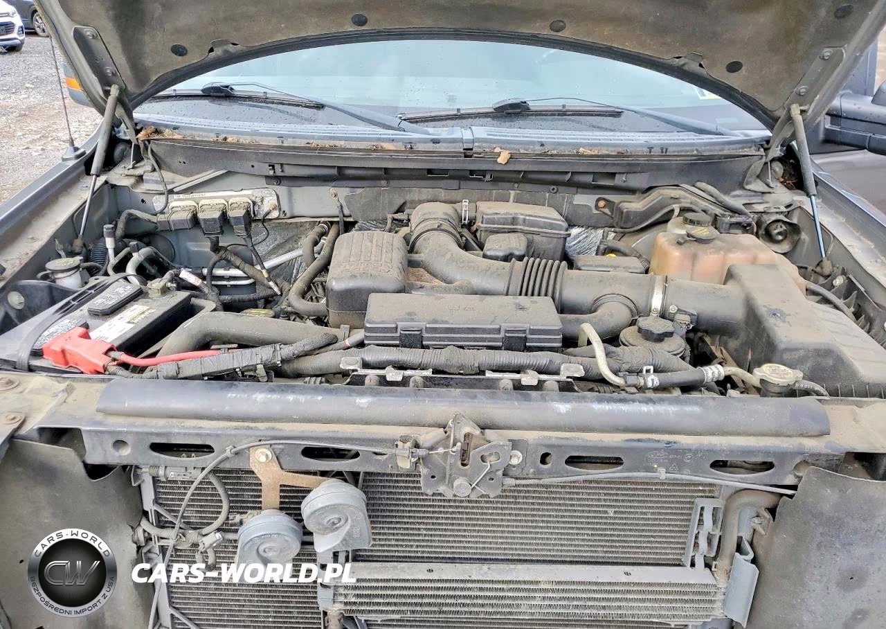 2010 Ford F150 Supercrew VIN:1FTFW1EV5AFC27055 - 11