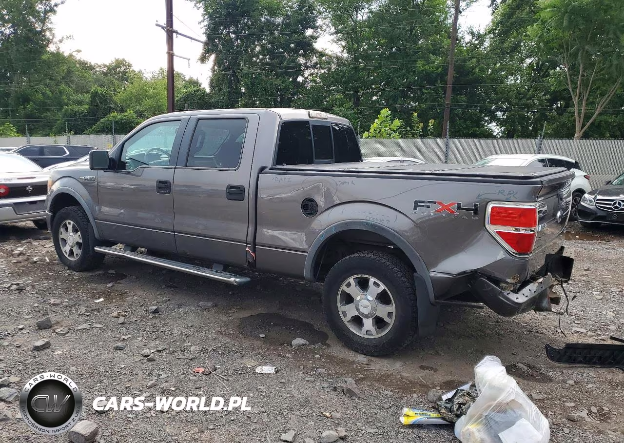 2010 Ford F150 Supercrew VIN:1FTFW1EV5AFC27055 - 2