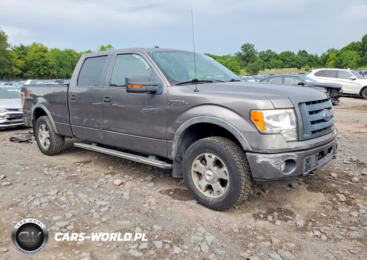 2010 Ford F150 Supercrew VIN:1FTFW1EV5AFC27055 - 4