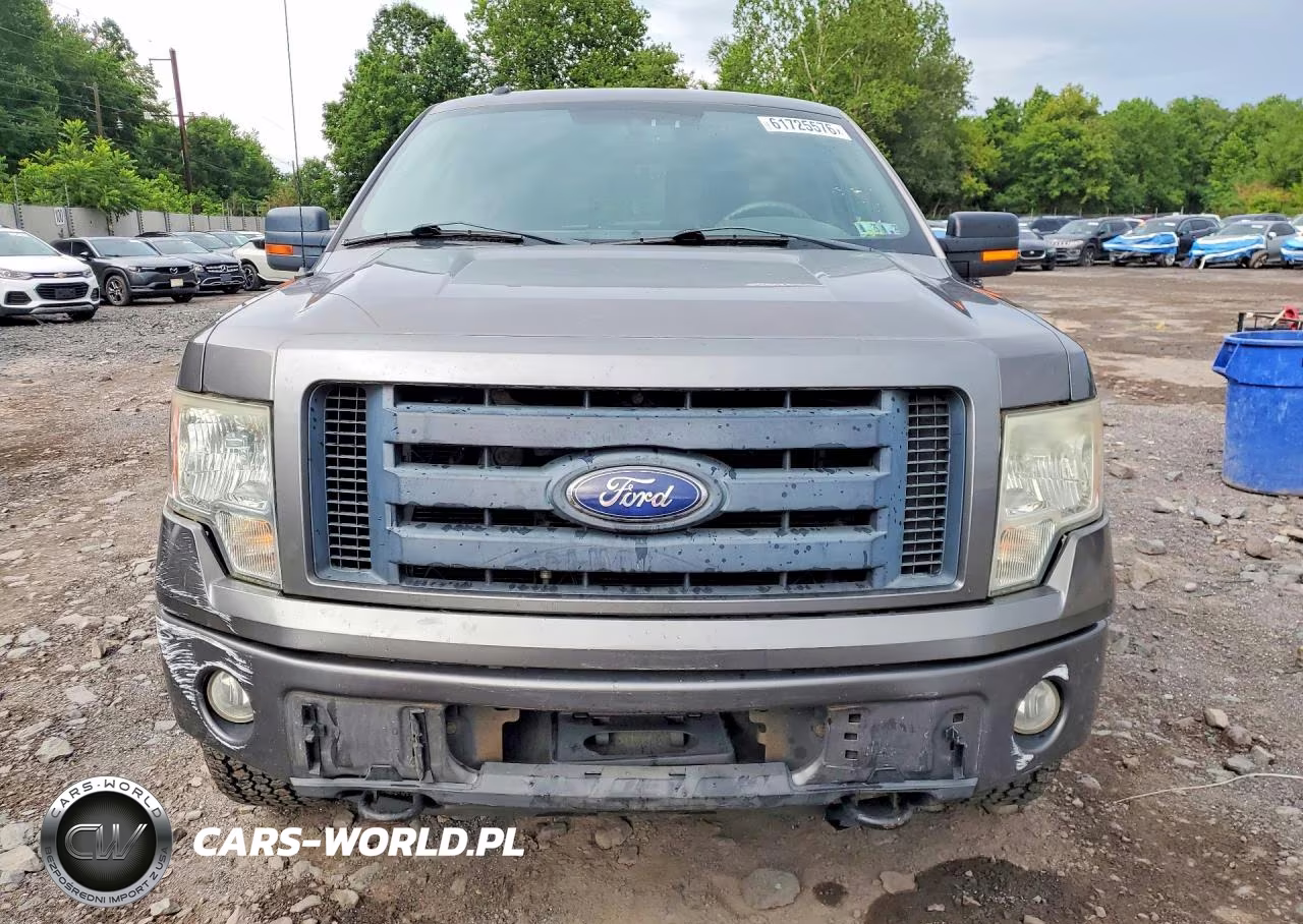 2010 Ford F150 Supercrew VIN:1FTFW1EV5AFC27055 - 5