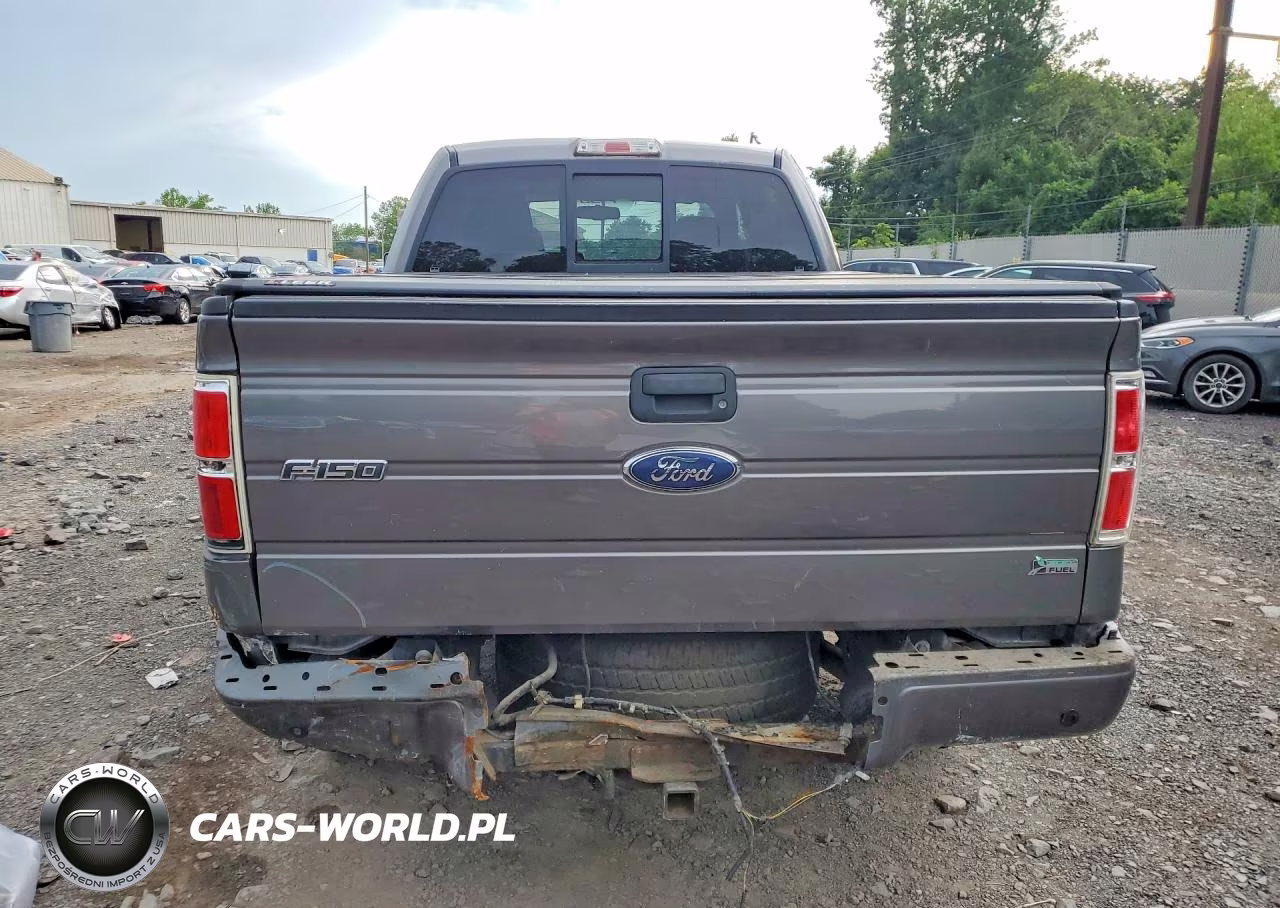2010 Ford F150 Supercrew VIN:1FTFW1EV5AFC27055 - 6
