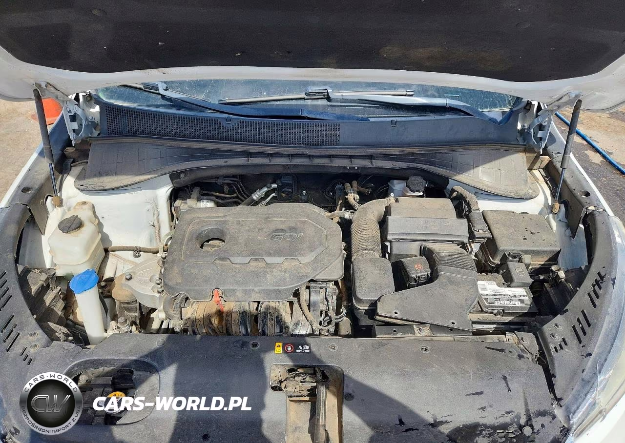 2019 Kia Sorento Lx VIN:5XYPG4A3XKG529933 - 12