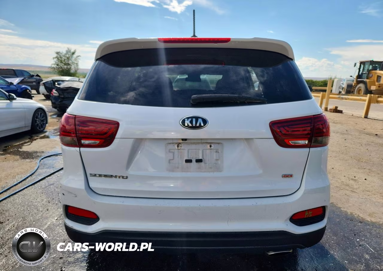 2019 Kia Sorento Lx VIN:5XYPG4A3XKG529933 - 6