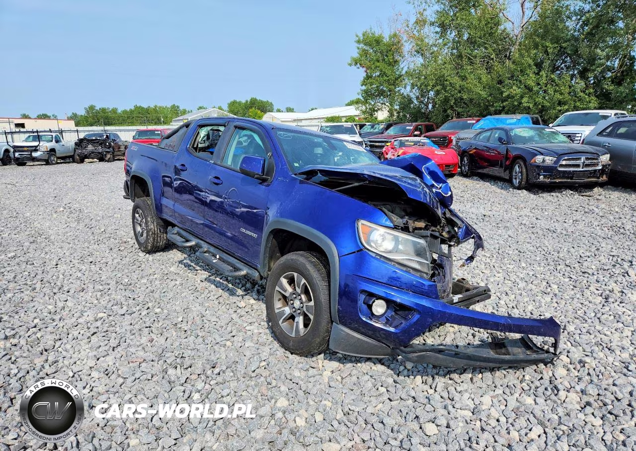 2016 Chevrolet Colorado VIN:1GCGTDE33G1179686 - 4