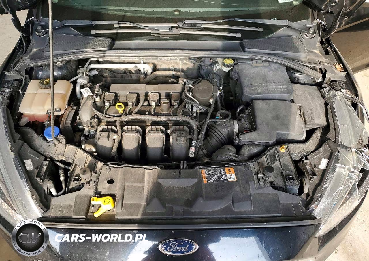 2016 Ford Focus Se VIN:1FADP3F29GL274657 - 11