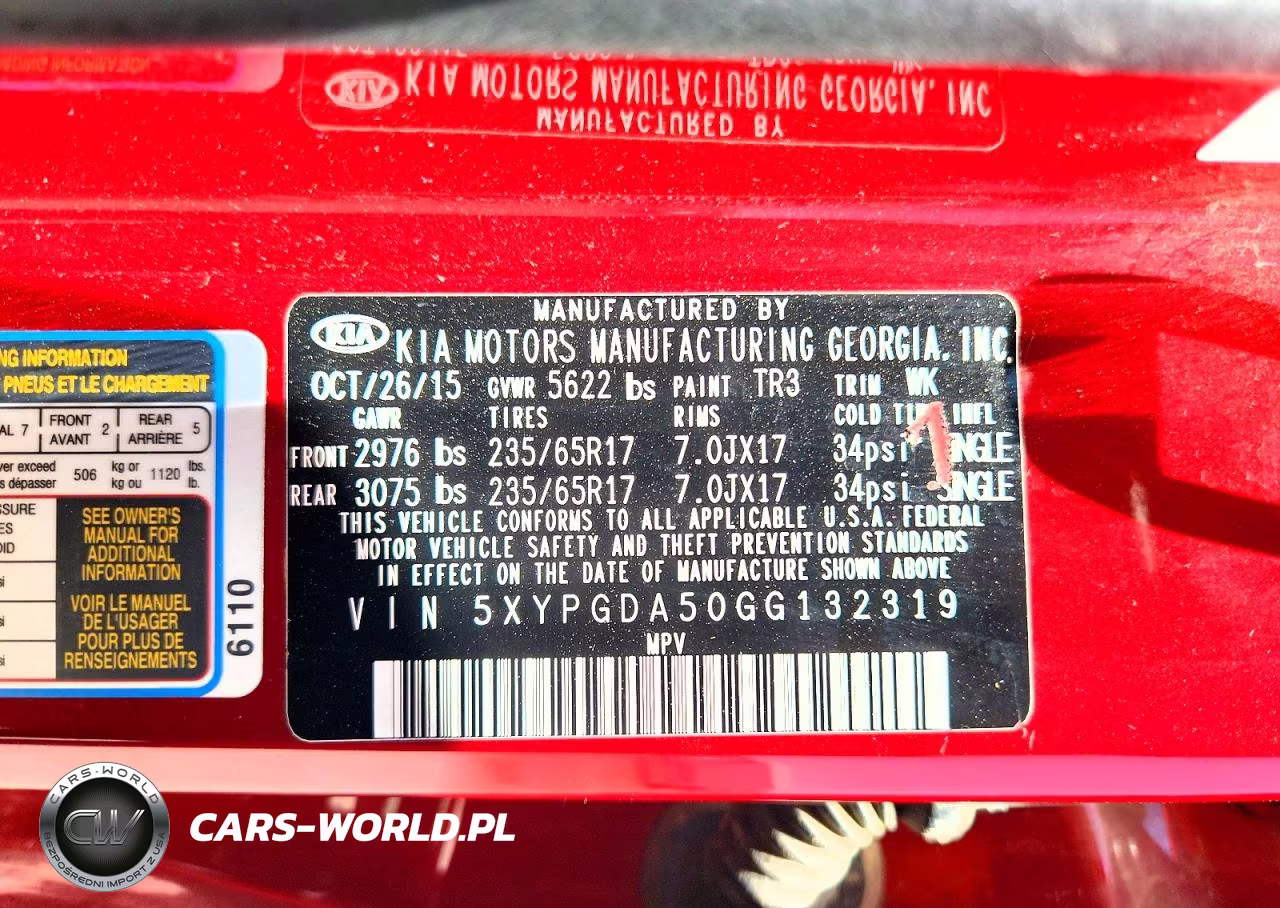 2016 Kia Sorento Lx VIN:5XYPGDA50GG132319 - 13