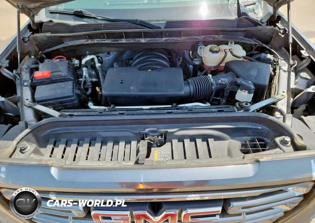 2020 GMC Sierra K1500 At4 VIN:1GTP9EELXLZ183489 - 11