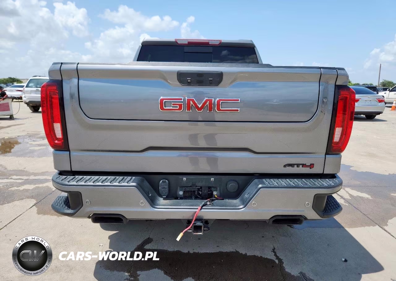 2020 GMC Sierra K1500 At4 VIN:1GTP9EELXLZ183489 - 6