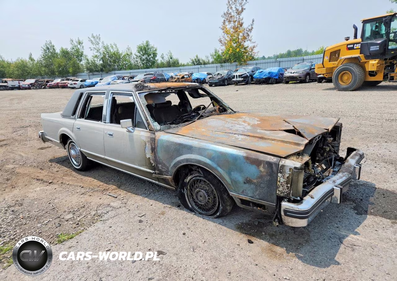 1982 Lincoln Town Car VIN:1LNBP94F3CY632192 - 4