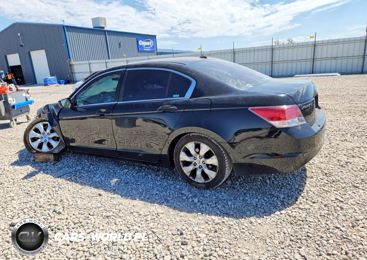 2009 Honda Accord Exl VIN:1HGCP26879A126396 - 2