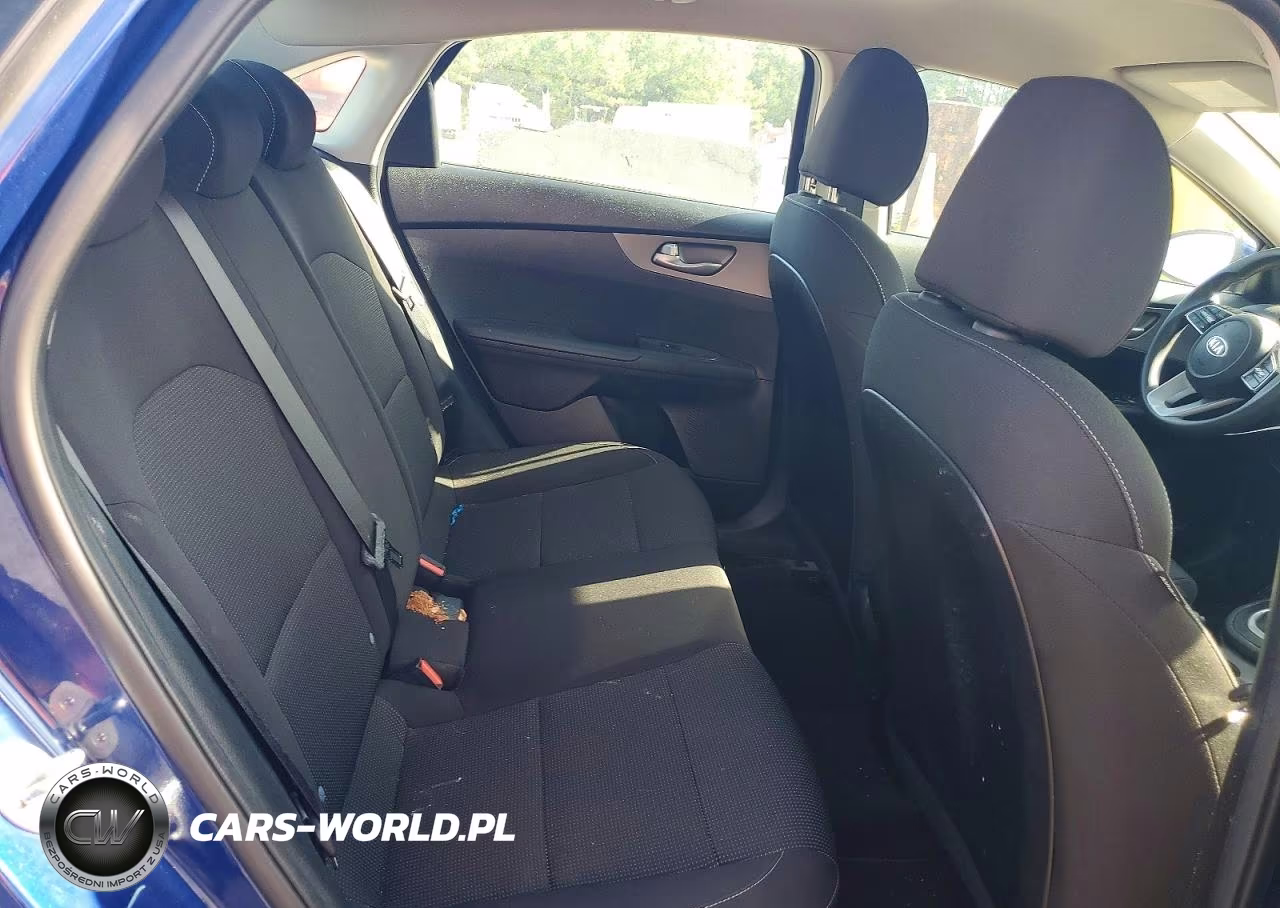 2019 Kia Forte Lxs VIN:3KPF24AD3KE048440 - 10
