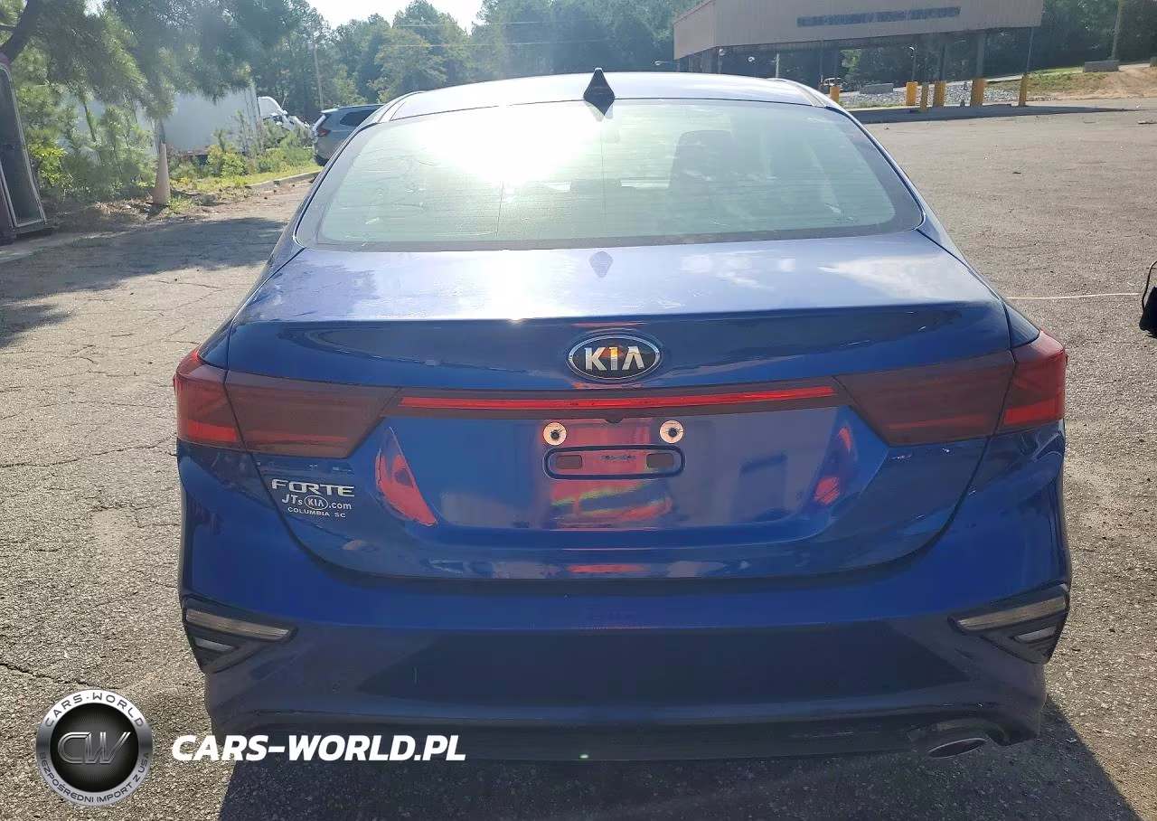 2019 Kia Forte Lxs VIN:3KPF24AD3KE048440 - 6